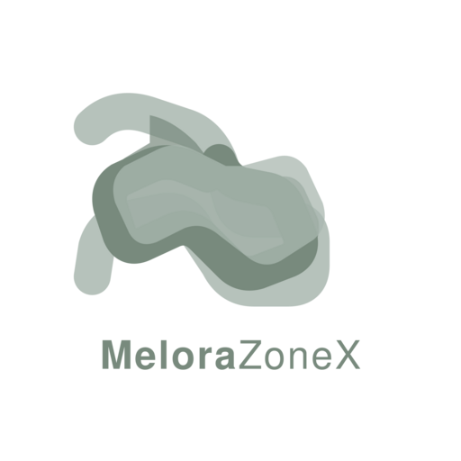 MeloraZoneX Logo